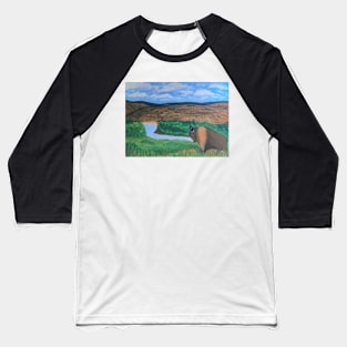 Bison on the Range Baseball T-Shirt